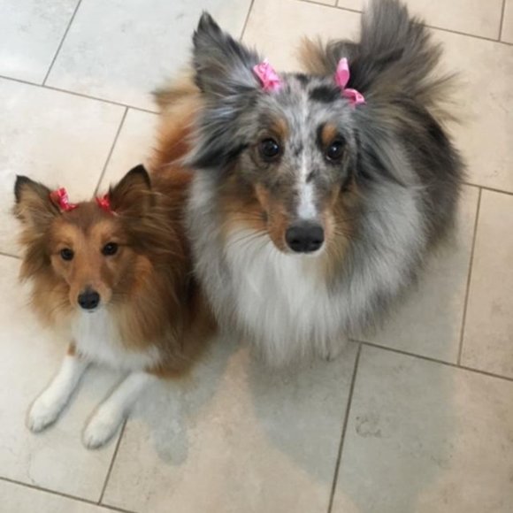 Meet your Posher, Kit - Picture 3 of 3